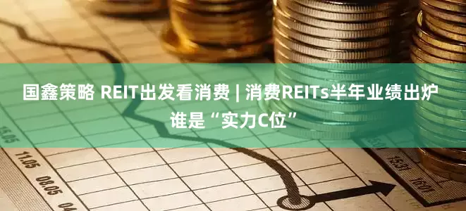 国鑫策略 REIT出发看消费 | 消费REITs半年业绩出炉 谁是“实力C位”