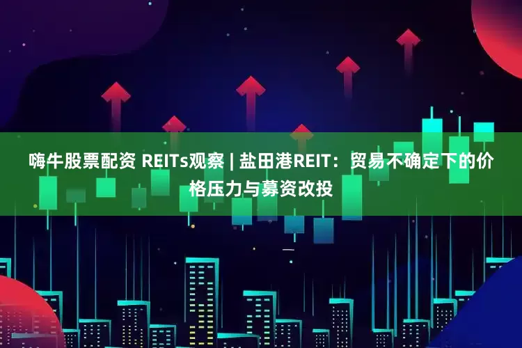 嗨牛股票配资 REITs观察 | 盐田港REIT：贸易不确定下的价格压力与募资改投